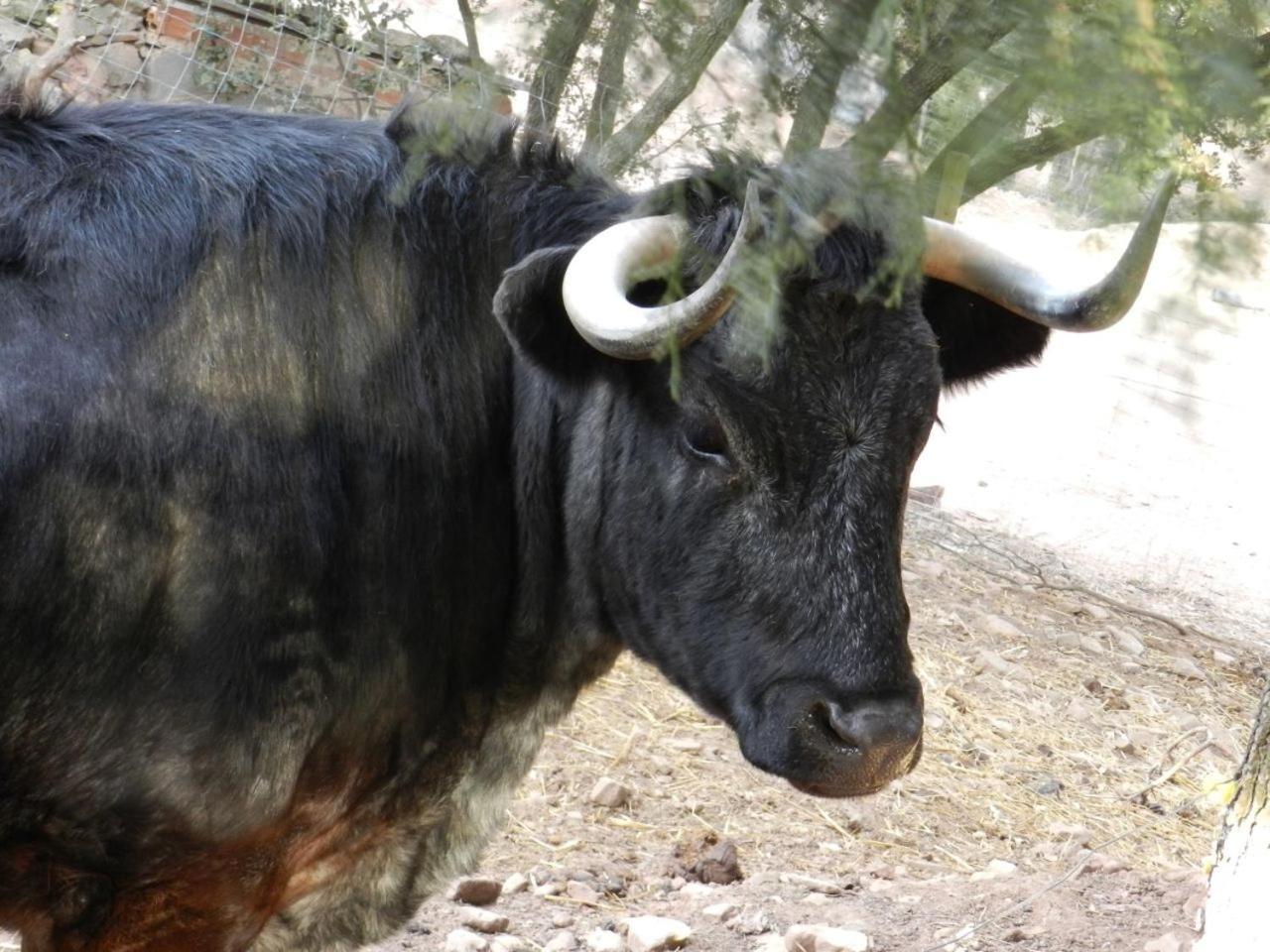 Camping Casa Fausto Cerca De Dinopolis Formiche Alto Zewnętrze zdjęcie